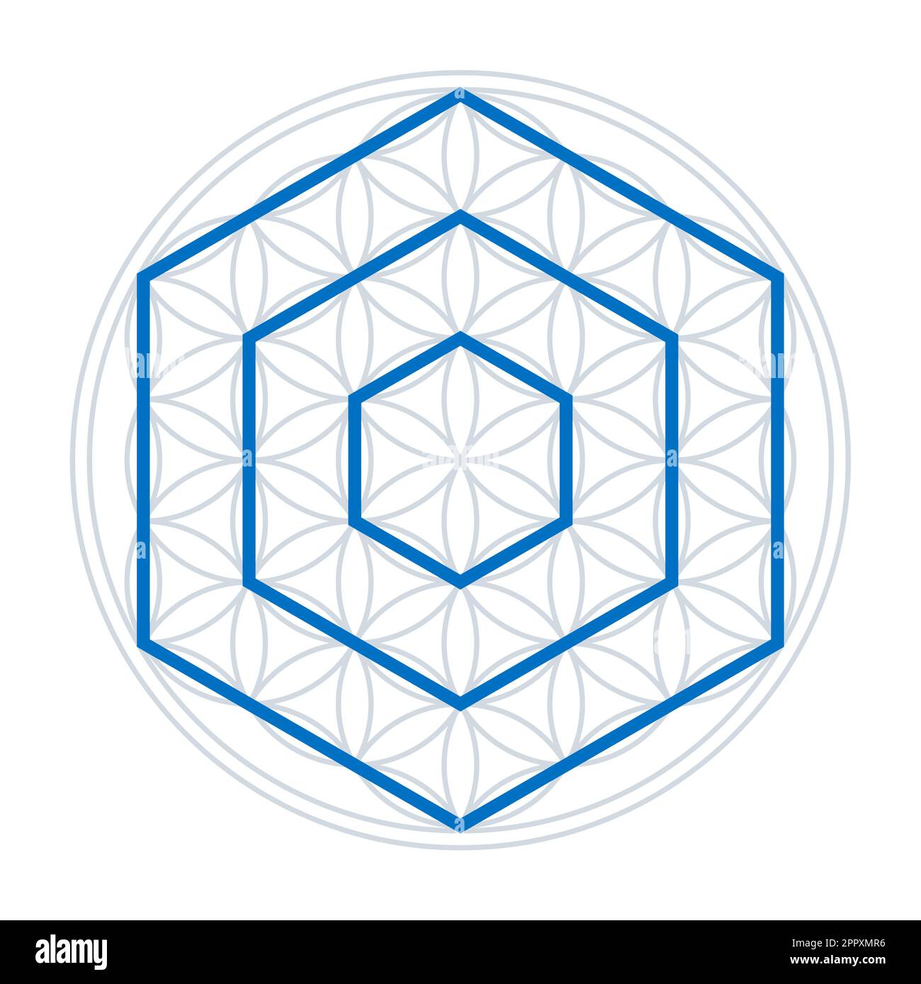 Trois hexagones dans une fleur de vie, géométrie sacrée Illustration de Vecteur