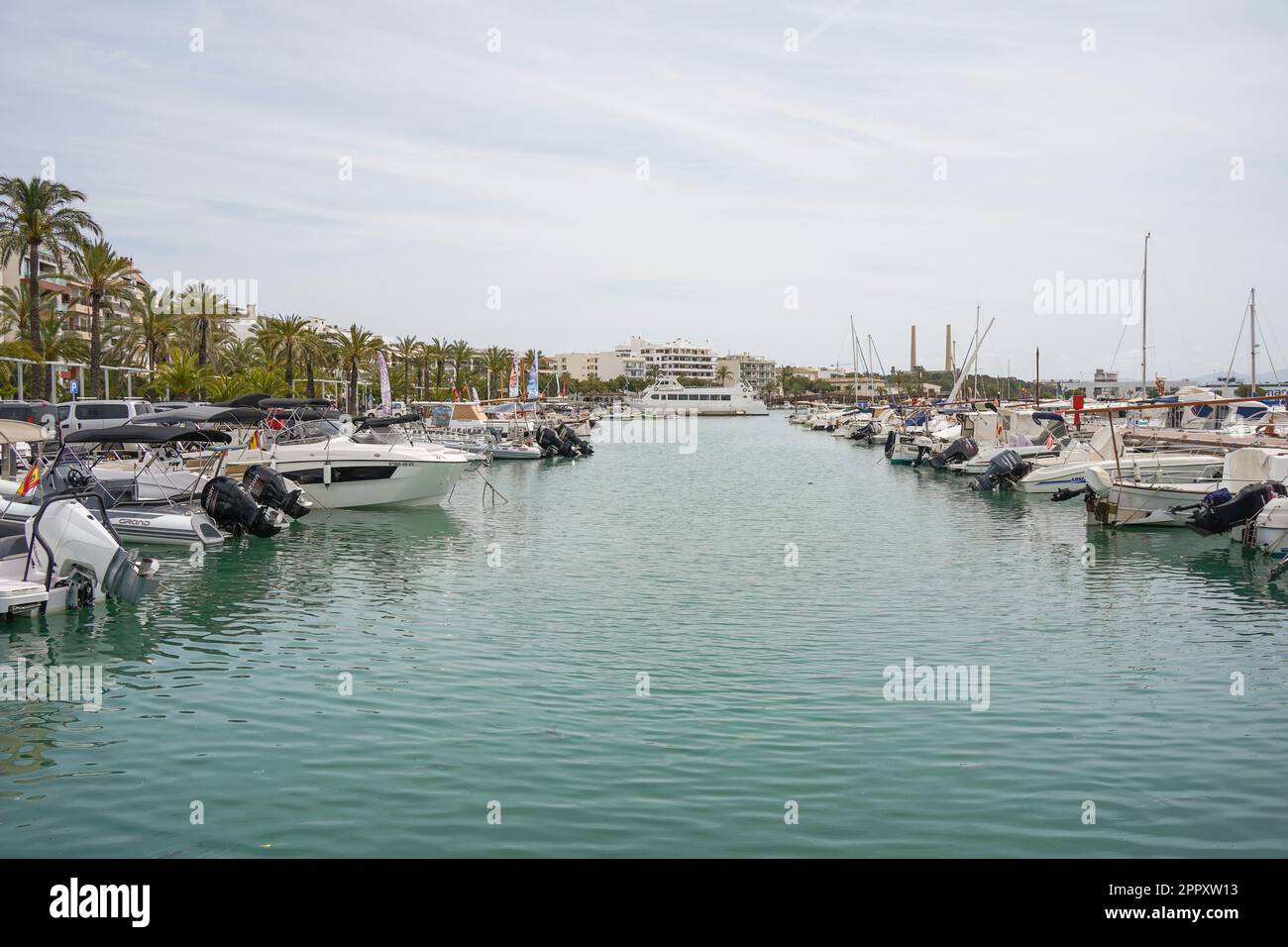 Port d'Alcudia, Majorque, Iles Baléares, Espagne. Banque D'Images