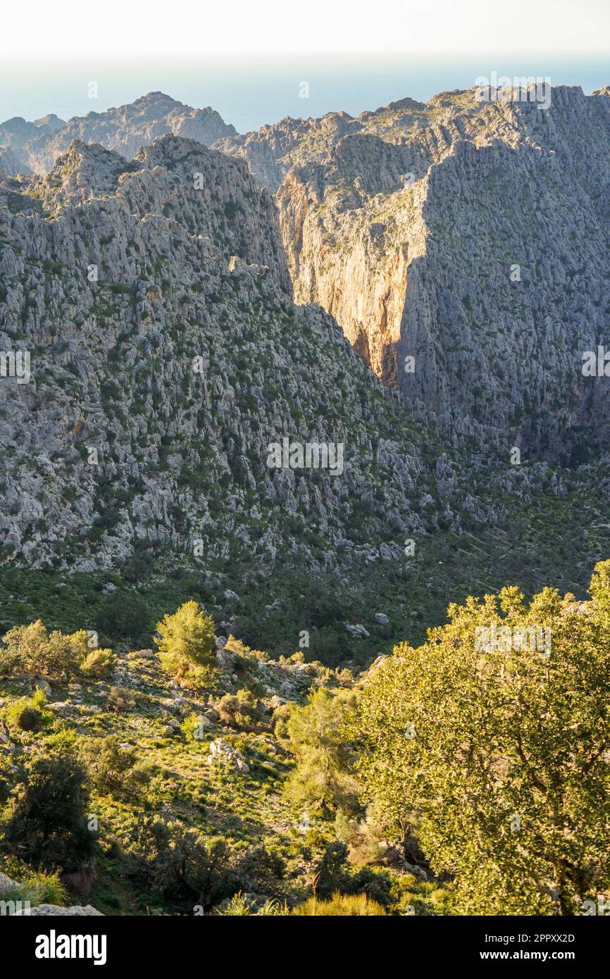 Tramuntana Mallorca. Vue sur les montagnes de Tramuntana, depuis Mirador de s'Entremforc, Sierra de Tramontana à Majorque, Espagne. Banque D'Images