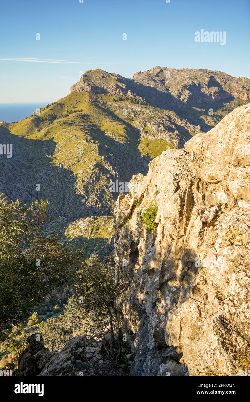 Tramuntana Mallorca. Vue sur les montagnes de Tramuntana, depuis Mirador de s'Entremforc, Sierra de Tramontana à Majorque, Espagne. Banque D'Images