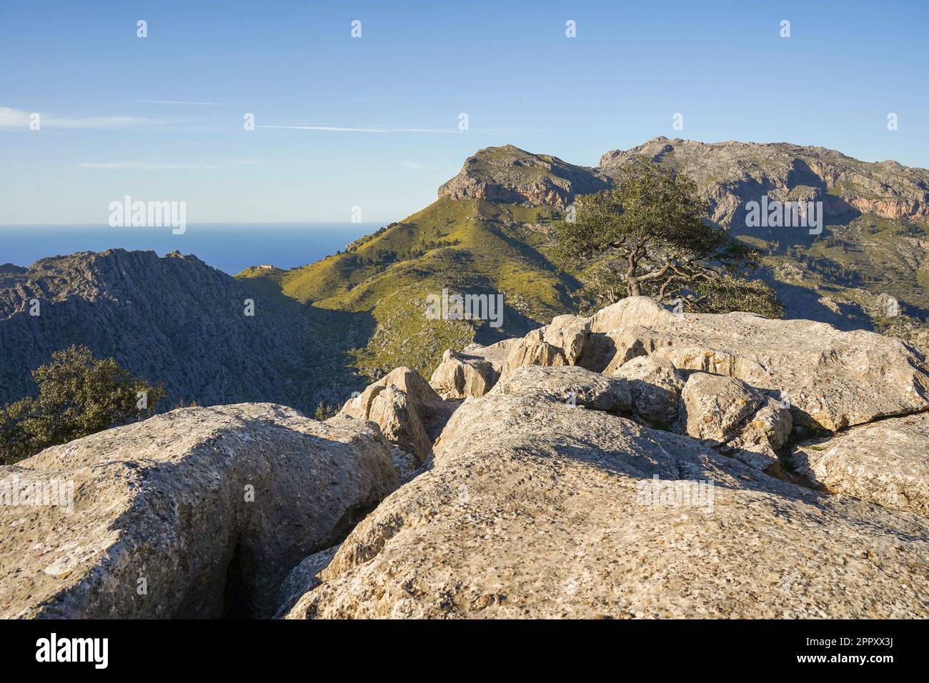 Tramuntana Mallorca. Vue sur les montagnes de Tramuntana, depuis Mirador de s'Entremforc, Sierra de Tramontana à Majorque, Espagne. Banque D'Images
