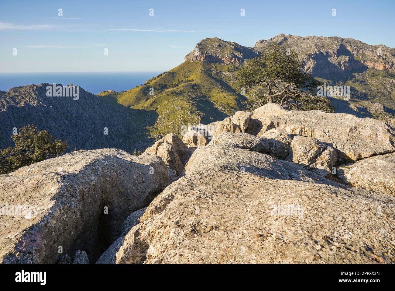 Tramuntana Mallorca. Vue sur les montagnes de Tramuntana, depuis Mirador de s'Entremforc, Sierra de Tramontana à Majorque, Espagne. Banque D'Images