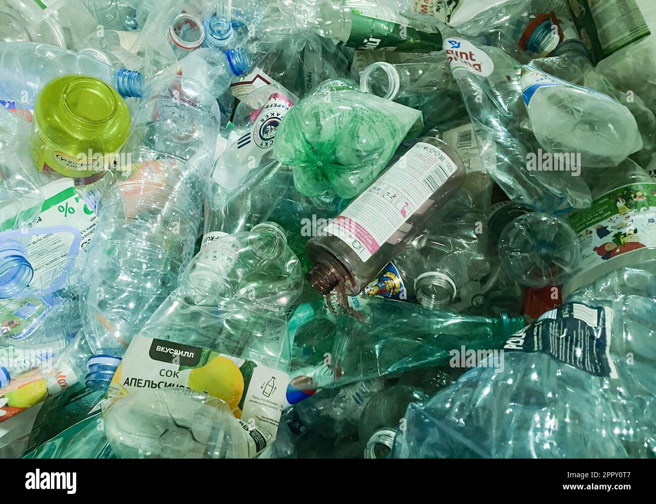 Moscou, Russie, novembre 2022 : recyclage des bouteilles d'eau transparentes en plastique. Consommation consciente, concept de tri des déchets. Banque D'Images