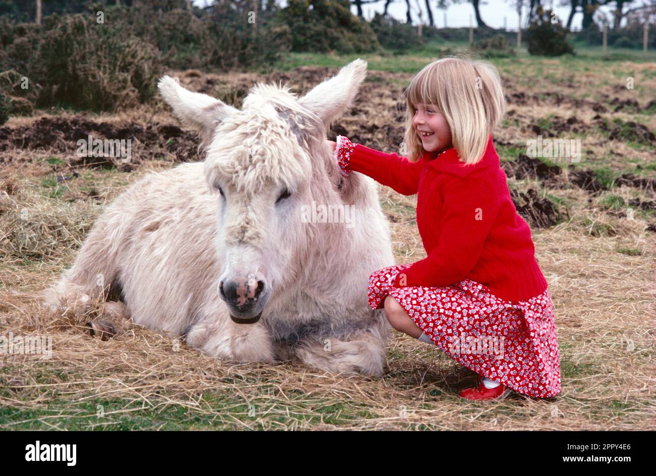 Enfants. Fille à l'extérieur avec Donkey blanc. Banque D'Images