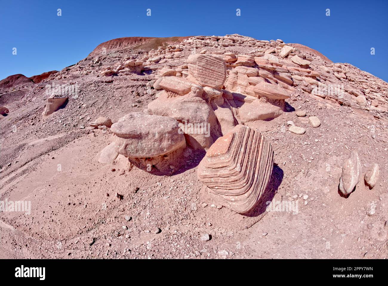 Étranges rochers striés dans le jardin d'Anges au parc national de la Forêt pétrifiée en Arizona. Banque D'Images