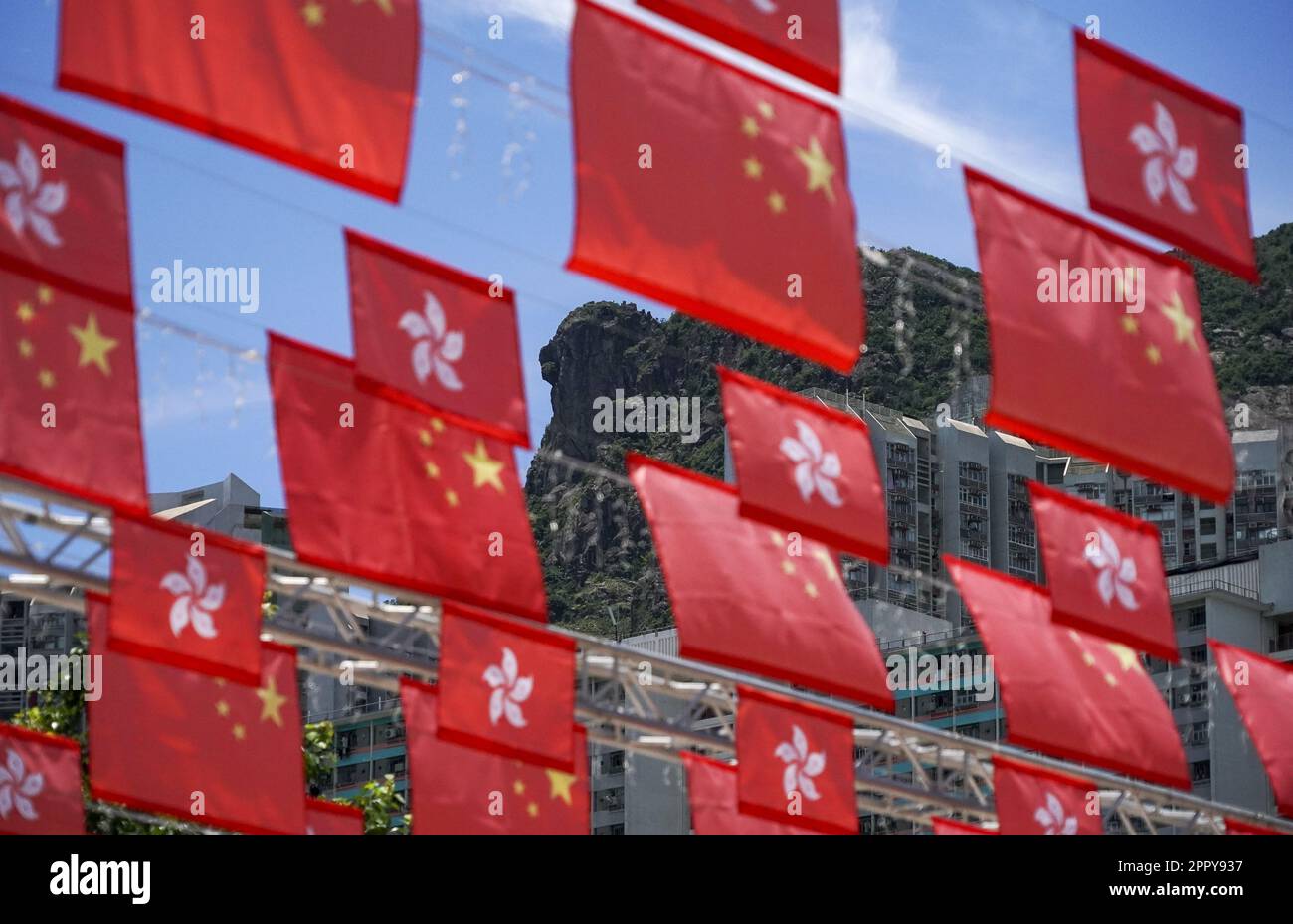 Beau temps avec les drapeaux de la région administrative spéciale nationale et de Hong Kong (HKSAR) pour marquer le 25th anniversaire du retour de Hong Kong à la domination chinoise à Hong Kong, Lion Rock comme arrière-plan. 26JUN22 SCMP / Felix Wong Banque D'Images