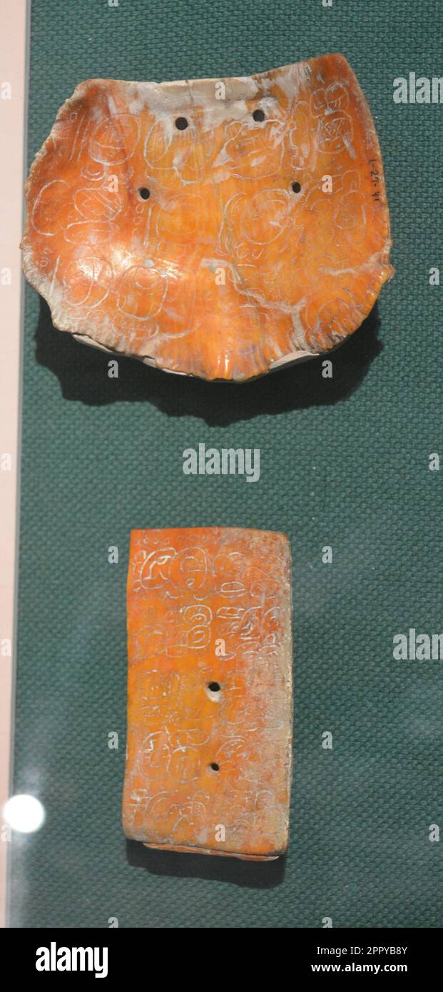 Deux coquilles avec des glyphes maya, ces derniers parlent de la vie de la Lady K'atun AHAW. Les deux autres coquillages sont au Musée du Guatemala. Musée de l'université de Pennsylvanie Banque D'Images