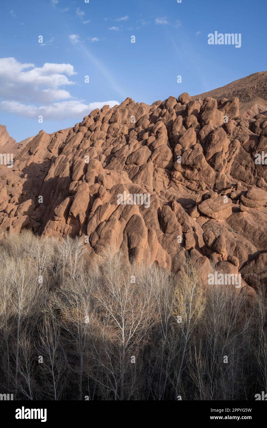 Formations rocheuses connues sous le nom de doigts de singe dans la vallée de Dades. Banque D'Images