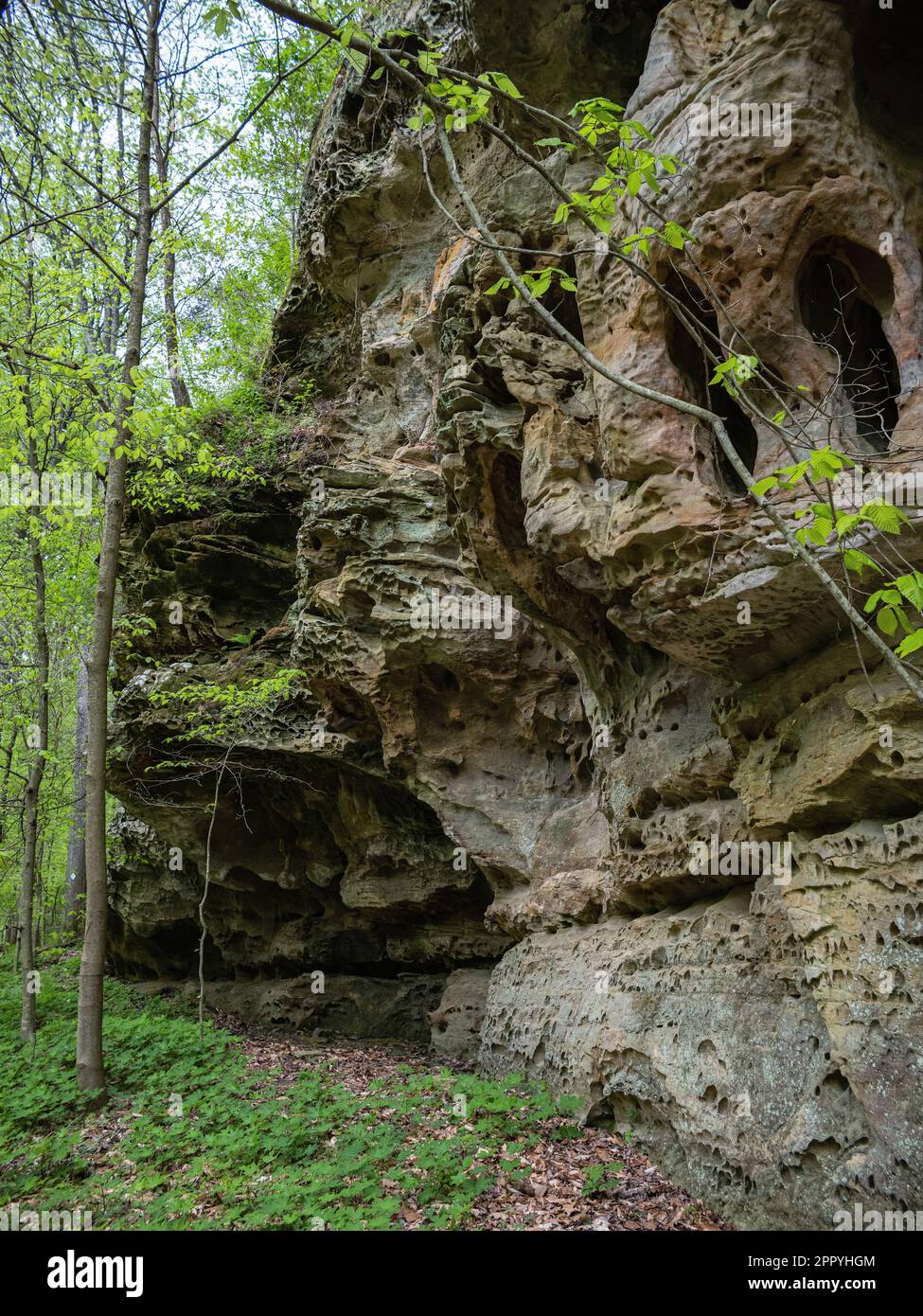 Sentier du Little Grand Canyon dans la forêt nationale de Shawnee Banque D'Images