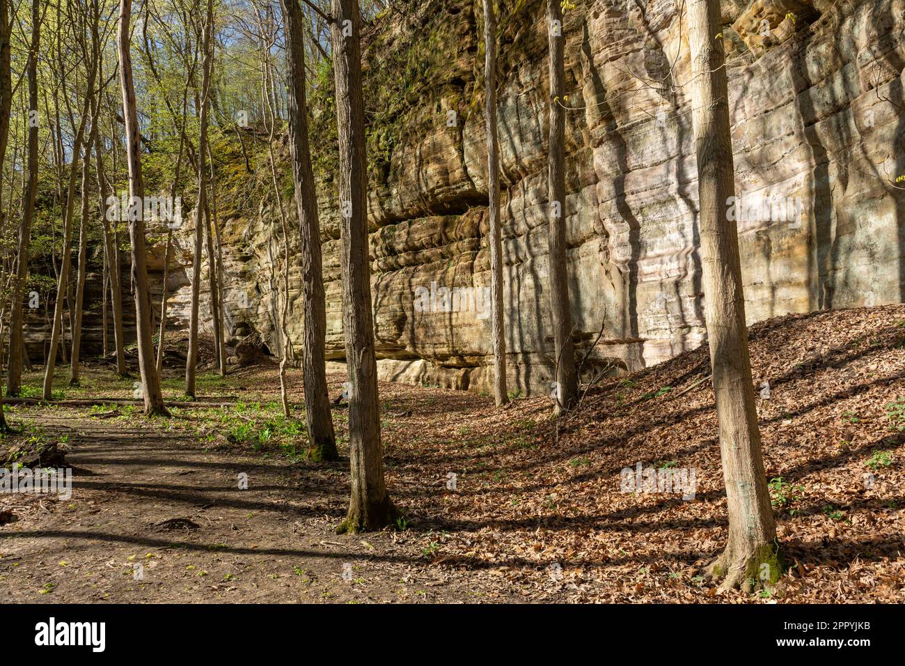 Signes de couleur printanière lors d'une randonnée ensoleillée au début du printemps dans le parc national de Starved Rock. Banque D'Images