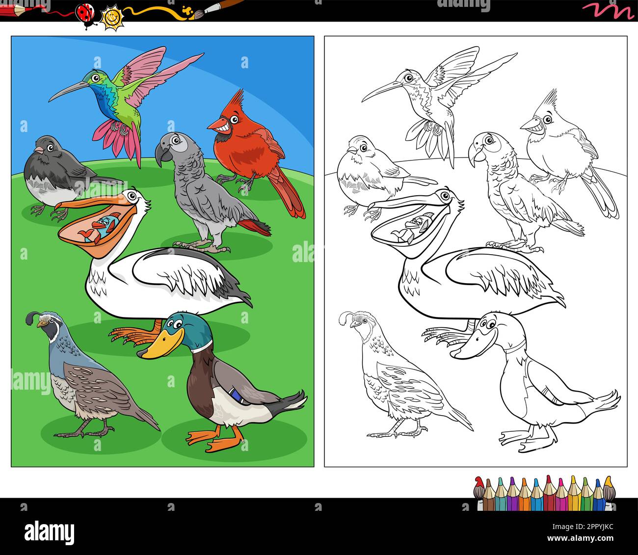 page de coloriage des personnages animaux des oiseaux de bande dessinée Illustration de Vecteur