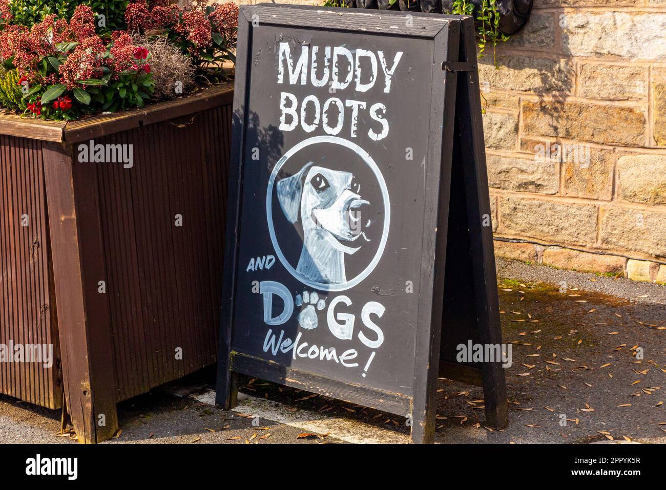 Bottes et chiens boueux affiche de bienvenue sur un tableau à l'extérieur d'un pub britannique accueillant les randonneurs. Banque D'Images