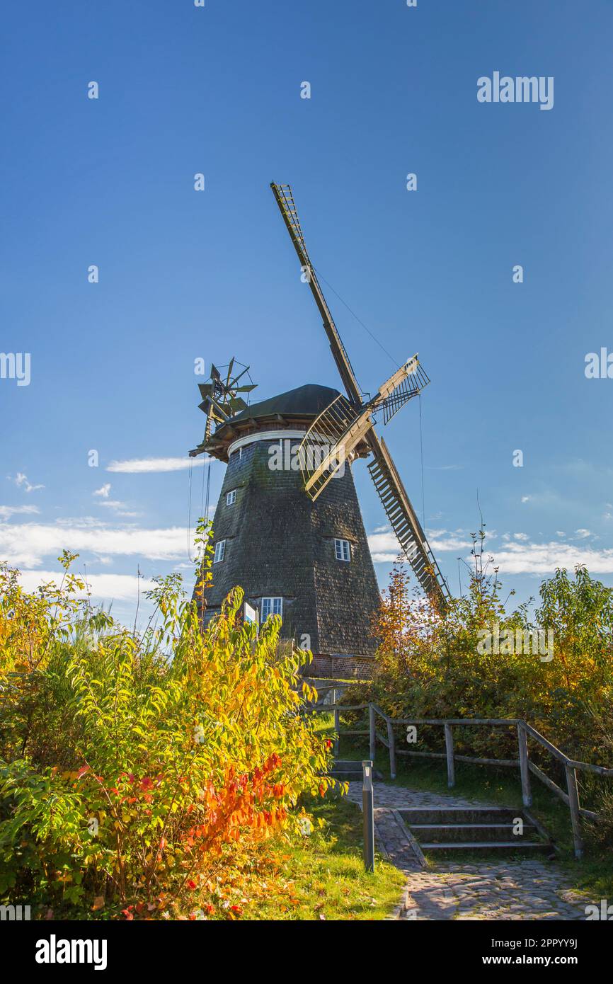Moulin à vent de type néerlandais à Benz, municipalité sur l'île d'Usedom, district de Vorpommern-Greifswald, Mecklembourg-Poméranie-Occidentale, Allemagne Banque D'Images