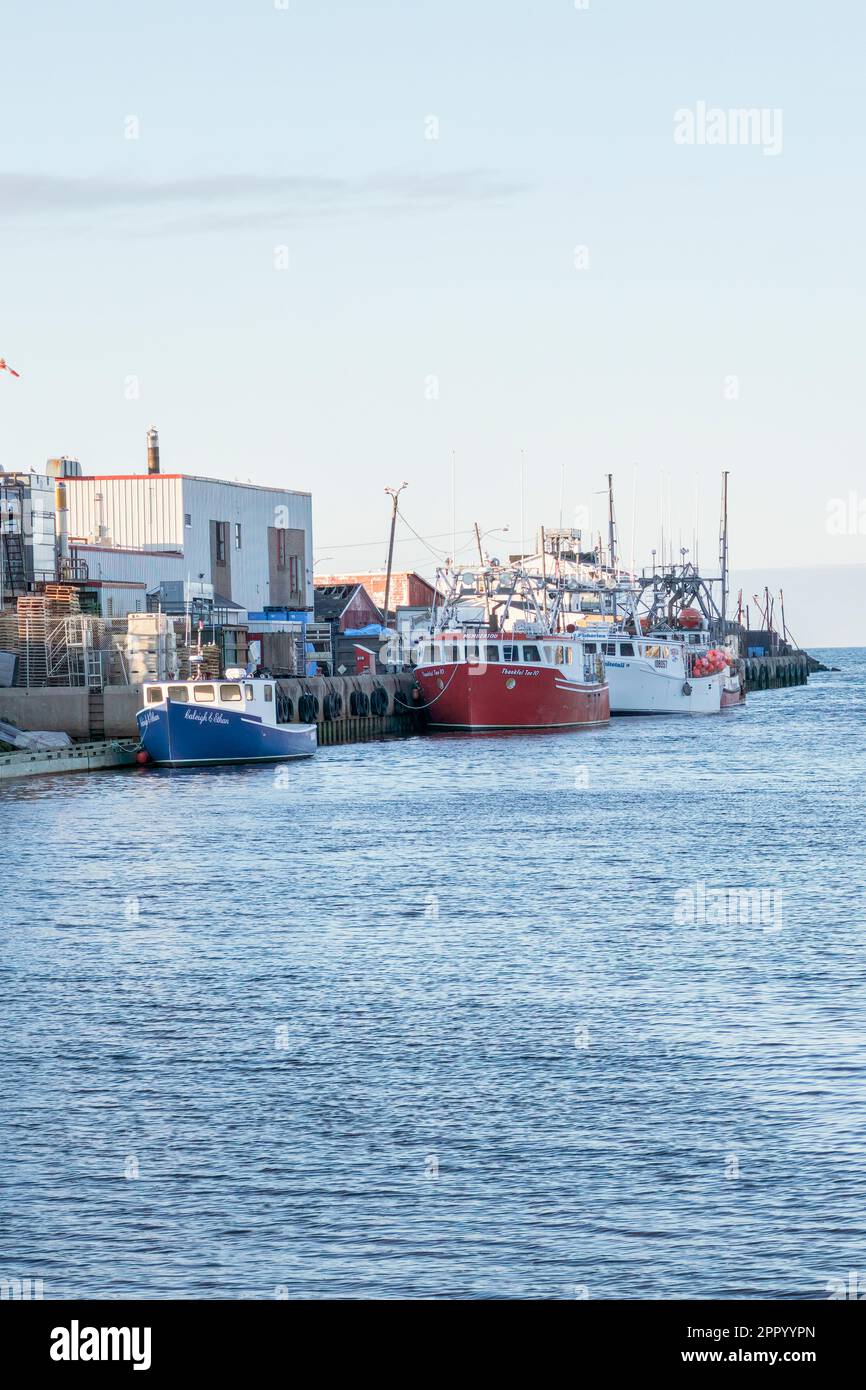 Des bateaux de pêche amarrés dans le port à l'extérieur des installations de traitement des fruits de mer de glace Bay, île du Cap-Breton, lors d'une belle soirée de début de printemps. Banque D'Images