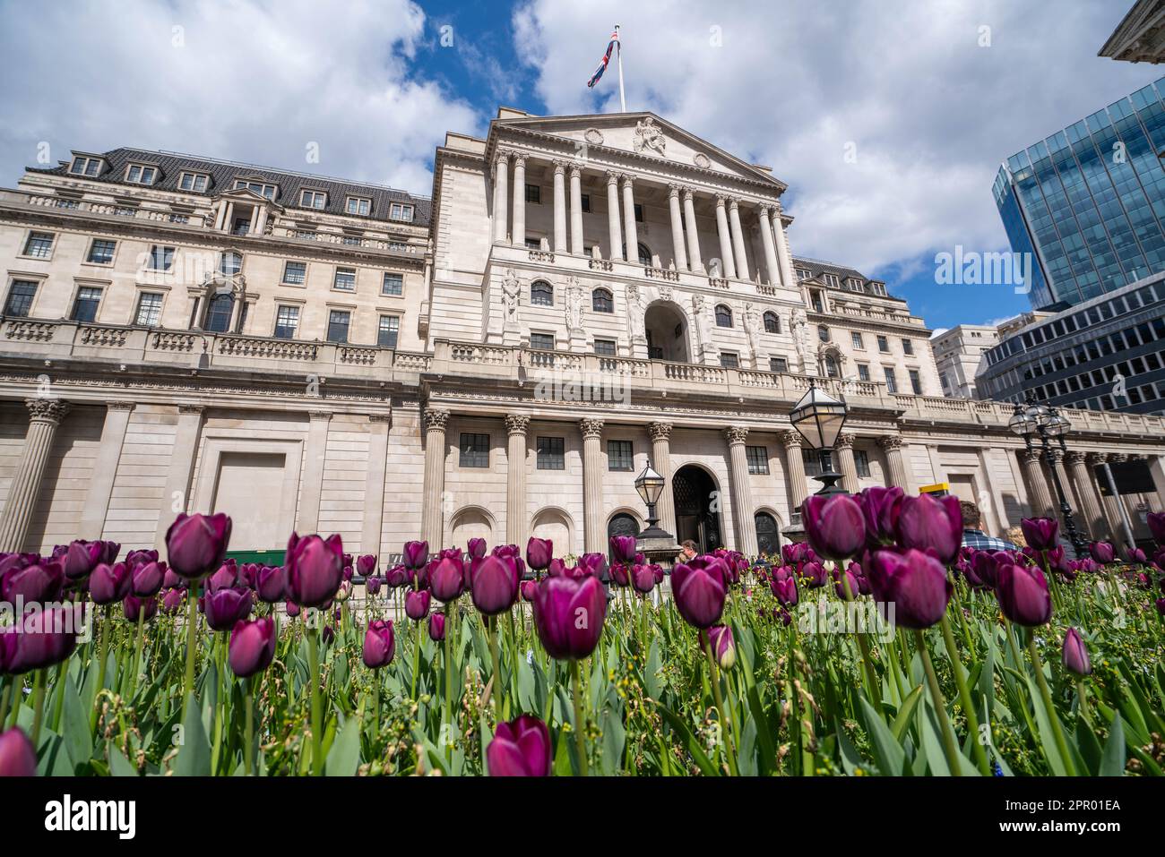 Londres, Royaume-Uni. 25 avril 2023. Tulipes fleuries sur un parterre de fleurs devant la Banque d'Angleterre. L'économiste en chef de la Banque d'Angleterre, Huw Pill, a déclaré que les ménages britanniques devraient accepter qu'ils soient plus pauvres, et que les travailleurs et les entreprises devraient cesser d'essayer de répercuter les coûts en augmentant les prix ou en exigeant de meilleurs salaires. Credit: amer ghazzal / Alamy Live News Banque D'Images