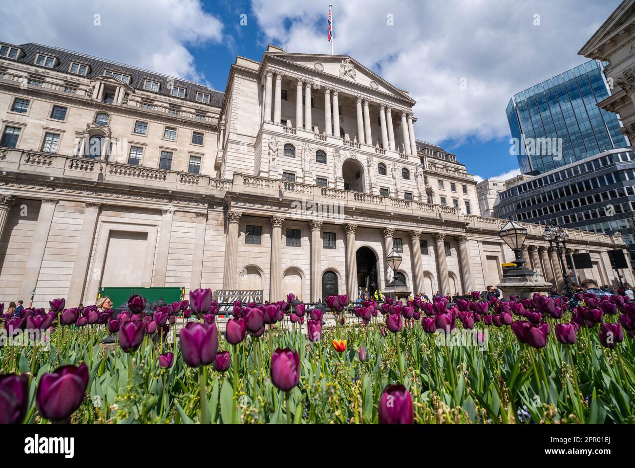 Londres, Royaume-Uni. 25 avril 2023. Tulipes fleuries sur un parterre de fleurs devant la Banque d'Angleterre. L'économiste en chef de la Banque d'Angleterre, Huw Pill, a déclaré que les ménages britanniques devraient accepter qu'ils soient plus pauvres, et que les travailleurs et les entreprises devraient cesser d'essayer de répercuter les coûts en augmentant les prix ou en exigeant de meilleurs salaires. Credit: amer ghazzal / Alamy Live News Banque D'Images