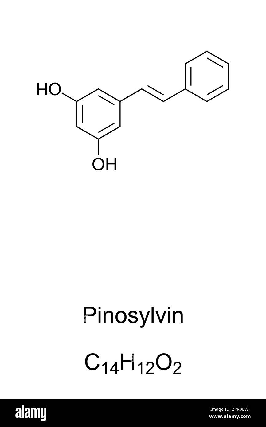 Pinosylvin, formule chimique et structure. Composé organique, huile essentielle et fongitoxine, à odeur caractéristique, produit dans les pins. Banque D'Images