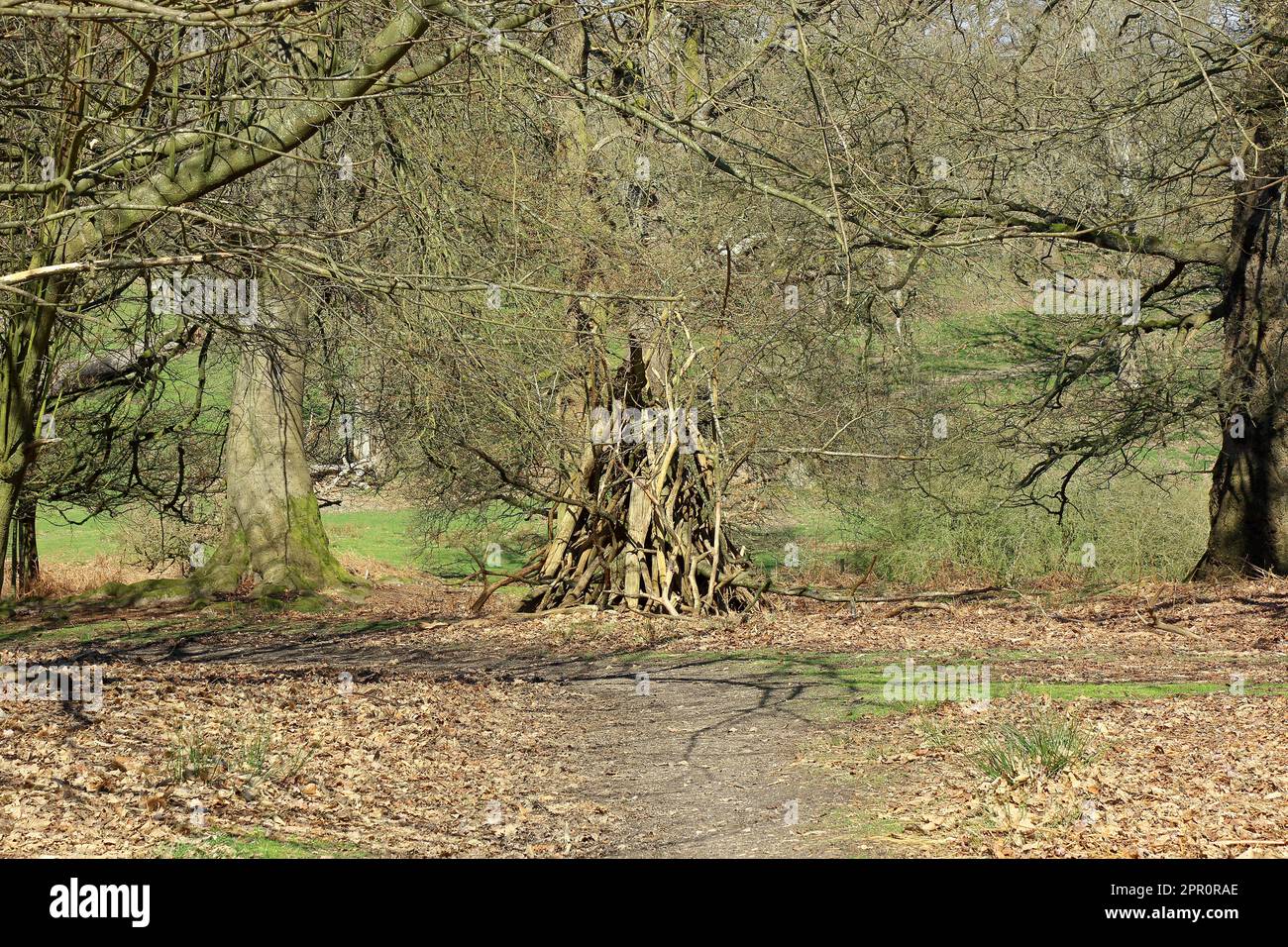 pile de branches faites dans une cachette dans le paysage boisé Banque D'Images
