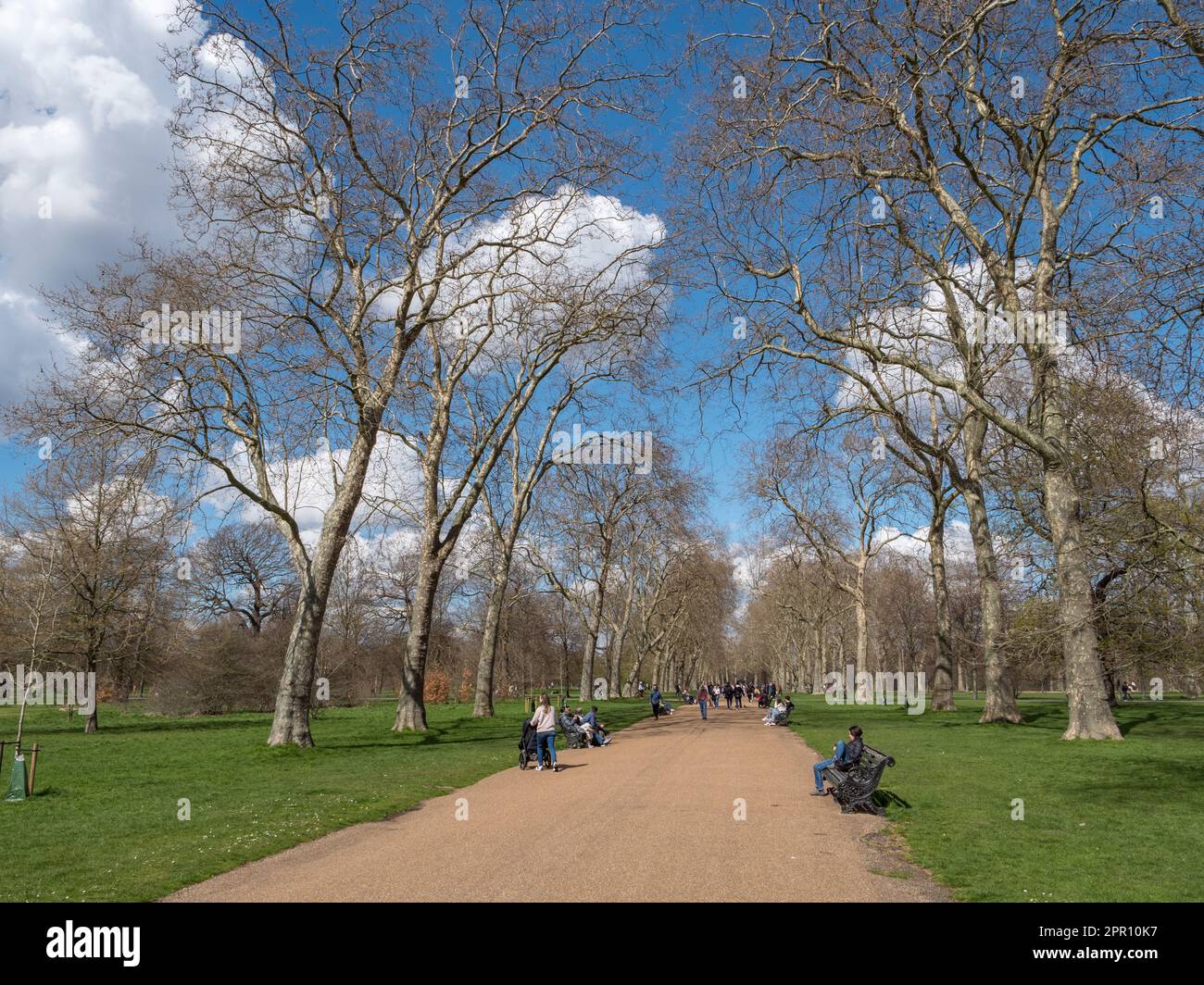 Piétons marchant sur un chemin typique bordé d'arbres à Kensington Gardens, Londres, Royaume-Uni. Banque D'Images