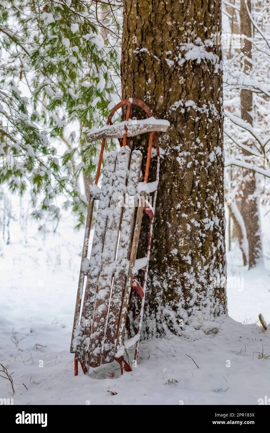 Le vieux traîneau en bois et en acier évoque des souvenirs d'enfance, dans le centre du Michigan, aux États-Unis Banque D'Images