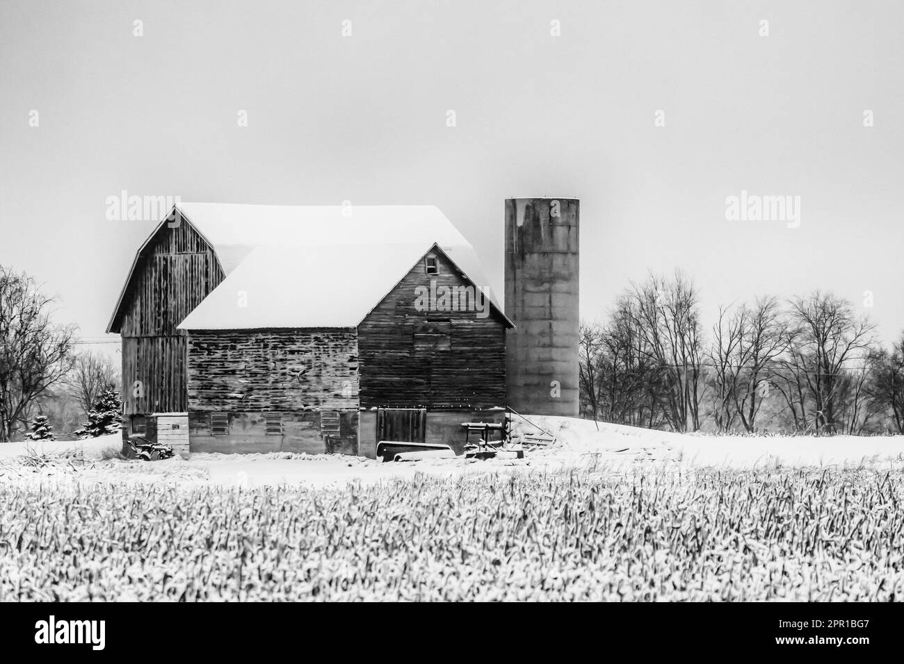 Grange classique avec toit de gambourin dans la neige dans le centre du Michigan, États-Unis [aucune autorisation de propriété; licence éditoriale seulement] Banque D'Images