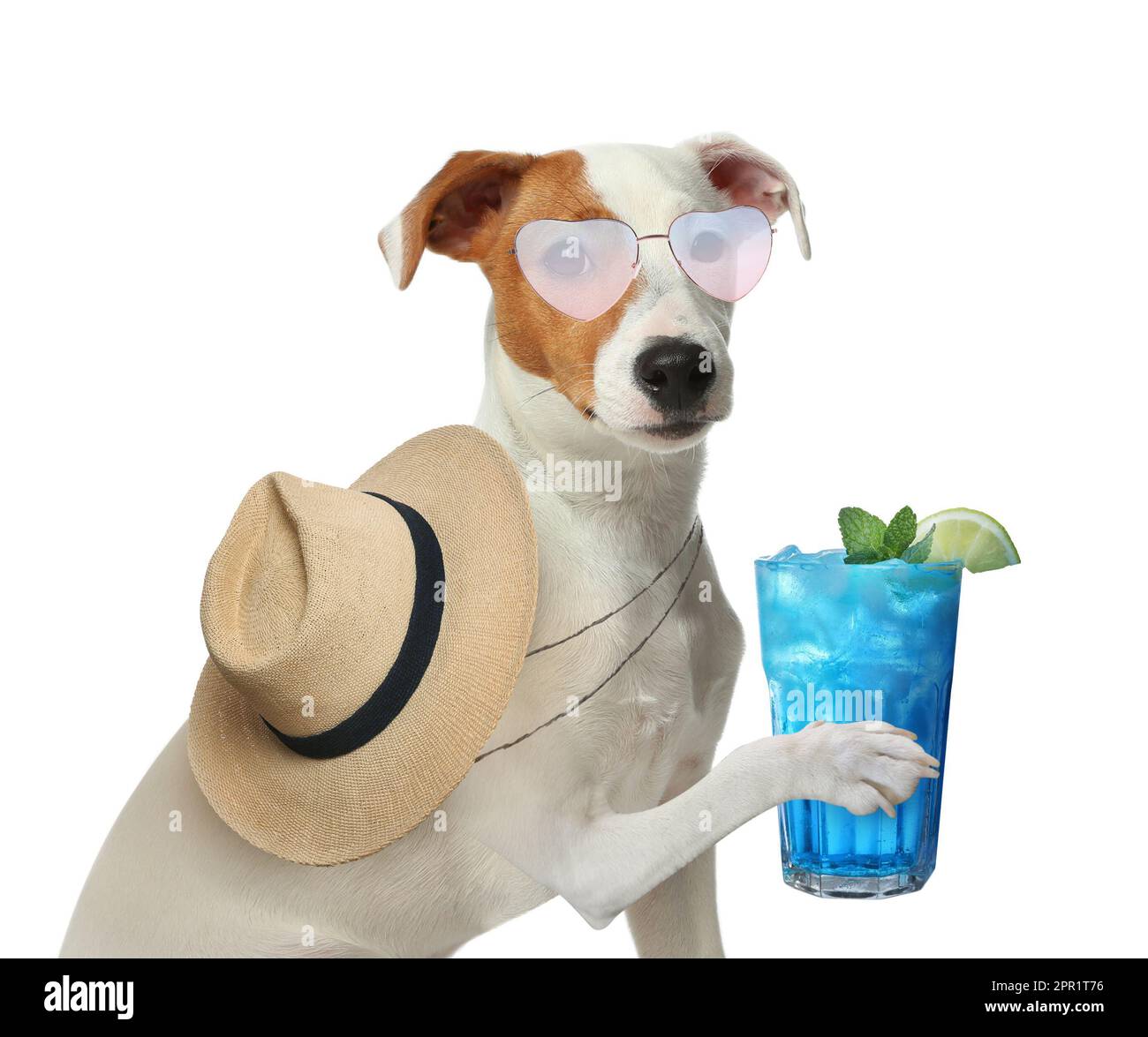 Chien mignon dans des lunettes de soleil avec un cocktail et un chapeau sur fond blanc. Fête d'été Banque D'Images