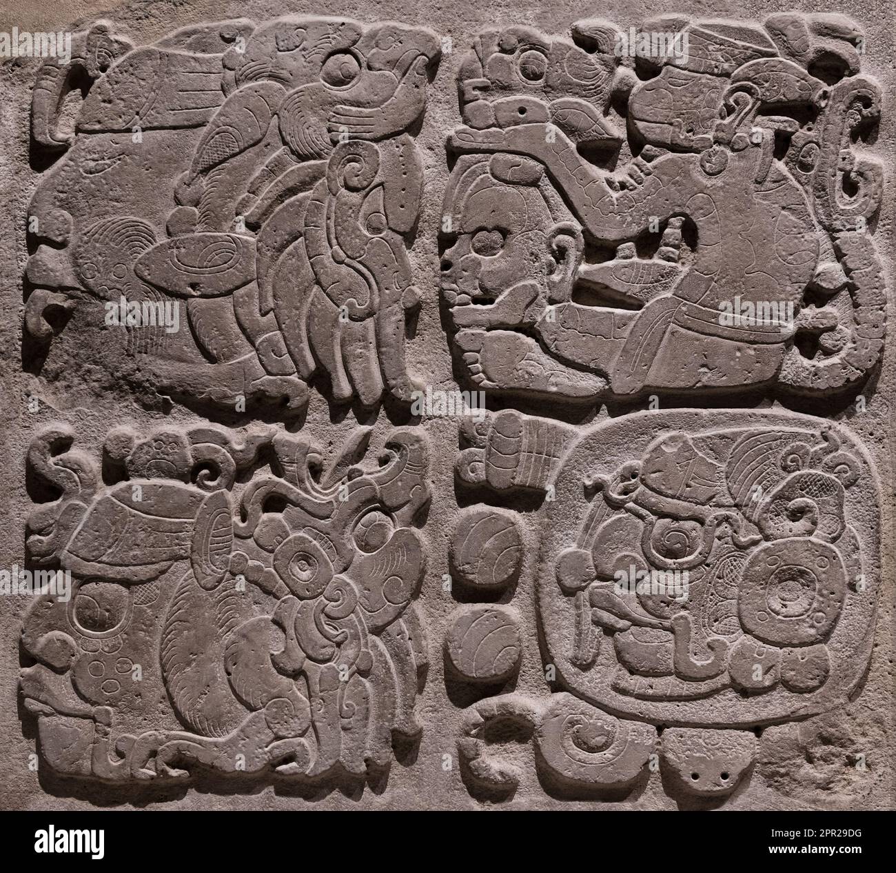 Gros plan de l'alphabet maya hiéroglyphe ou système d'écriture de glyphe trouvé à Copan (Honduras), Tikal (Guatemala) et Chichen Itza, Palenque, Uxmal (Mexique). Banque D'Images