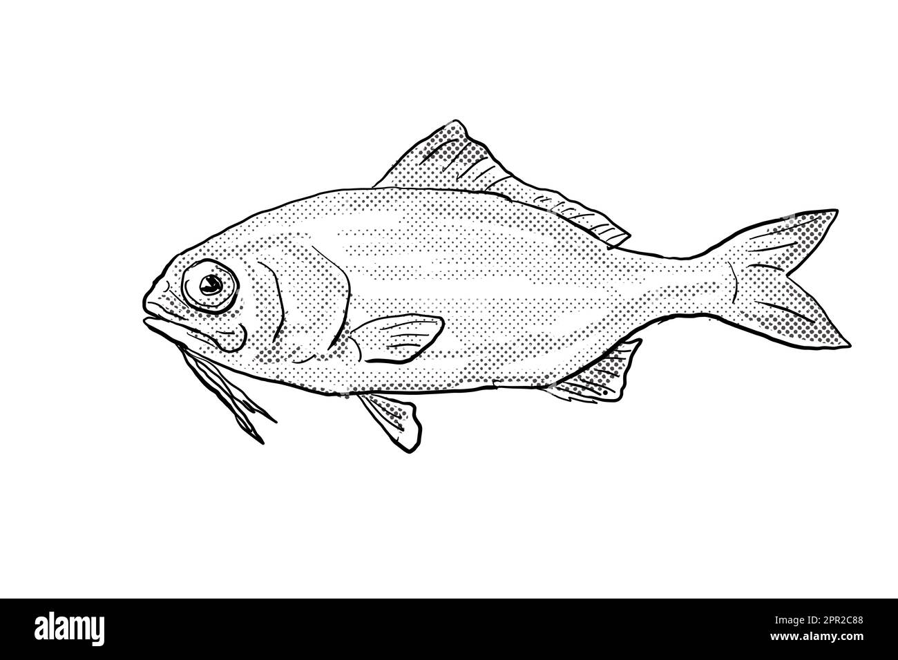 Dessin de style caricature d'un barbu, un poisson endémique à Hawaï et à l'archipel hawaïen avec des points de demi-teinte sur un fond isolé en noir Banque D'Images
