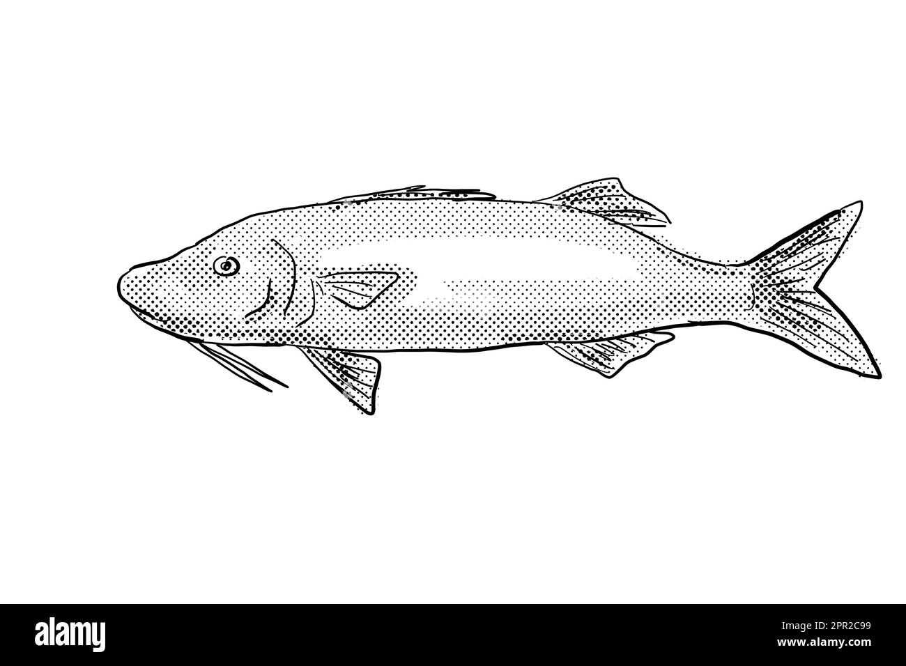 Dessin de style caricaturier d'un Moana kali Paruceneus cyclostomus ou d'un goiatfis à selle d'or un poisson endémique à Hawaï et à l'archipel hawaïen avec demi-to Banque D'Images