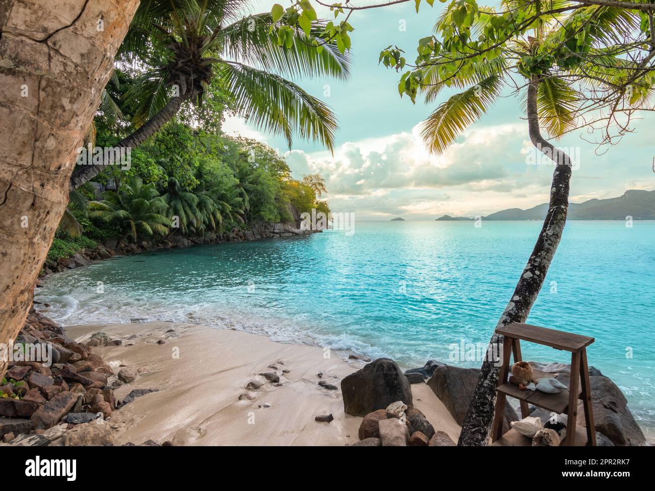 Plage tropicale avec palmiers sur l'île de Mahé, Seychelles. Banque D'Images