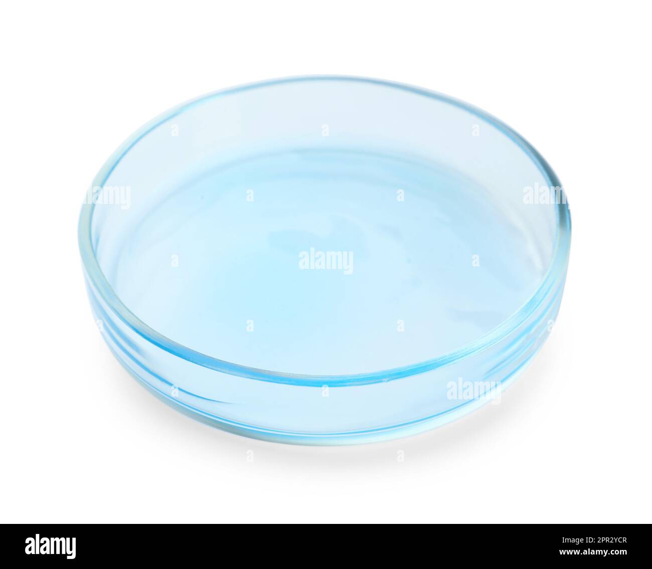 Boîte de Pétri avec liquide bleu clair isolé sur blanc Banque D'Images