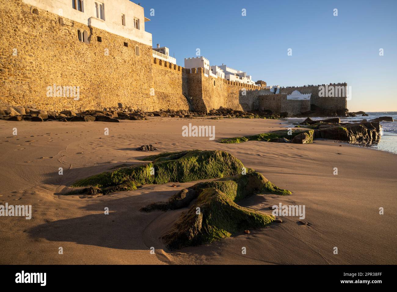 Murs fortifiés de la médina d'Asilah vus de la côte au coucher du soleil. Banque D'Images
