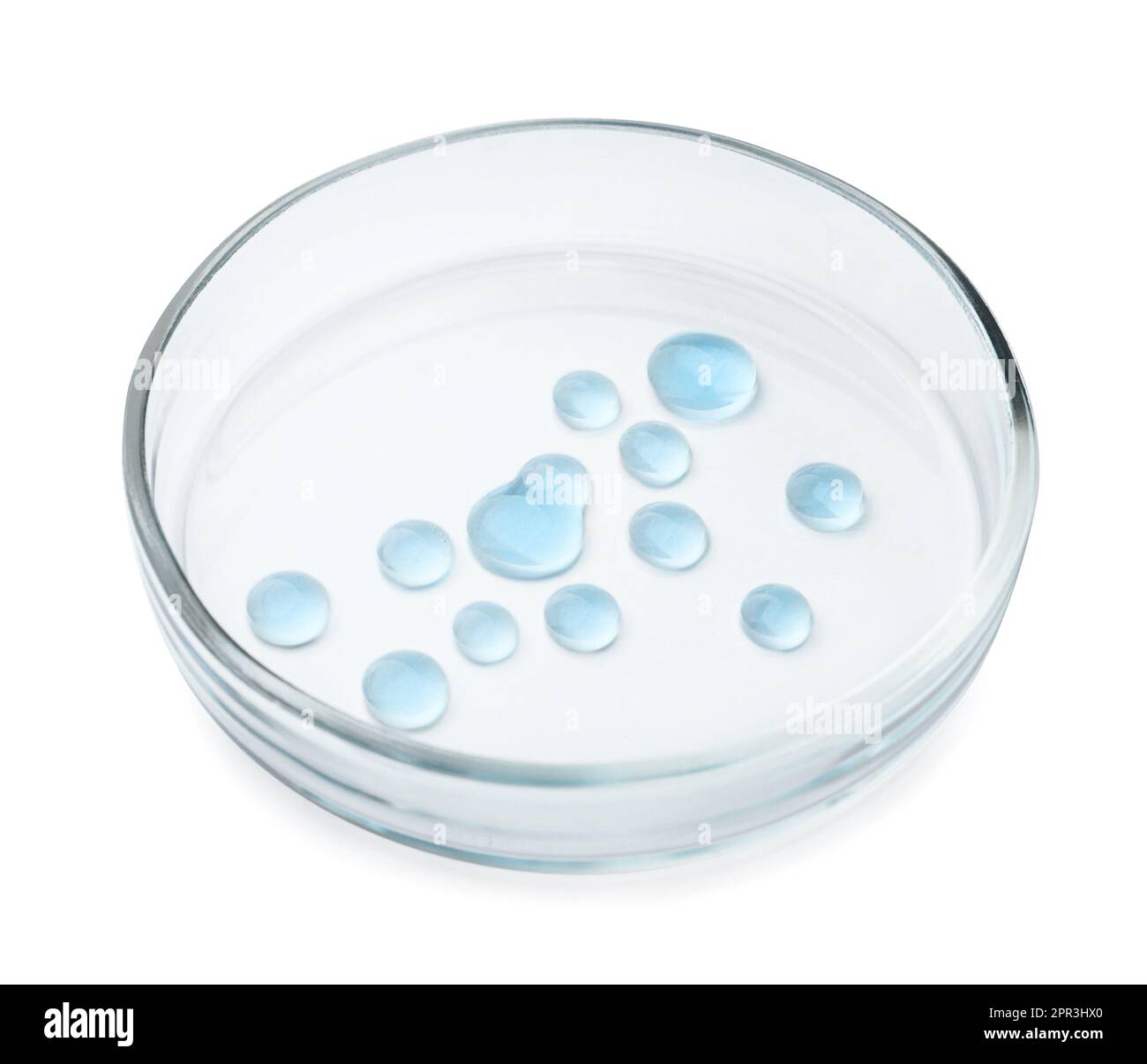 Boîte de Pétri avec liquide bleu clair isolé sur blanc Banque D'Images