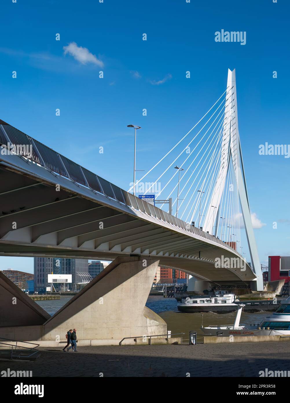 Rotterdam, pays-Bas - le pont Erasmus by Ben van Berkel avec la maison de Bridgewatcher à Kop van Zuid by Blolles Wilson over River Maas Banque D'Images