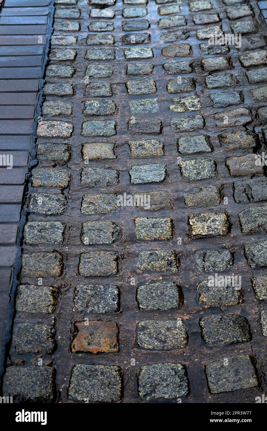 Pierres de galets humides Banque D'Images