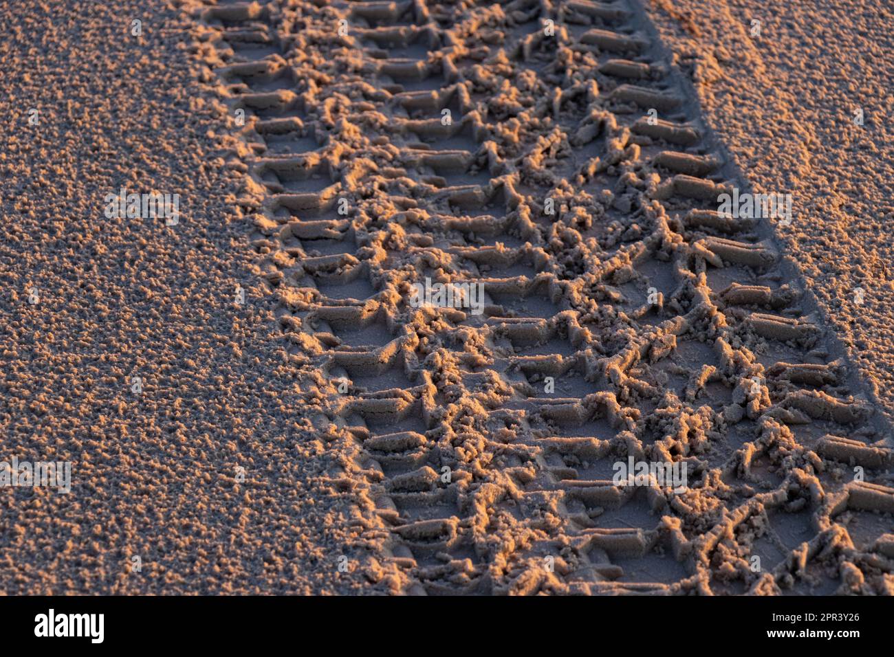 4x4 car tire Tracks in Sand à Sunrise sur l'île de Moreton, Queensland Australie Banque D'Images