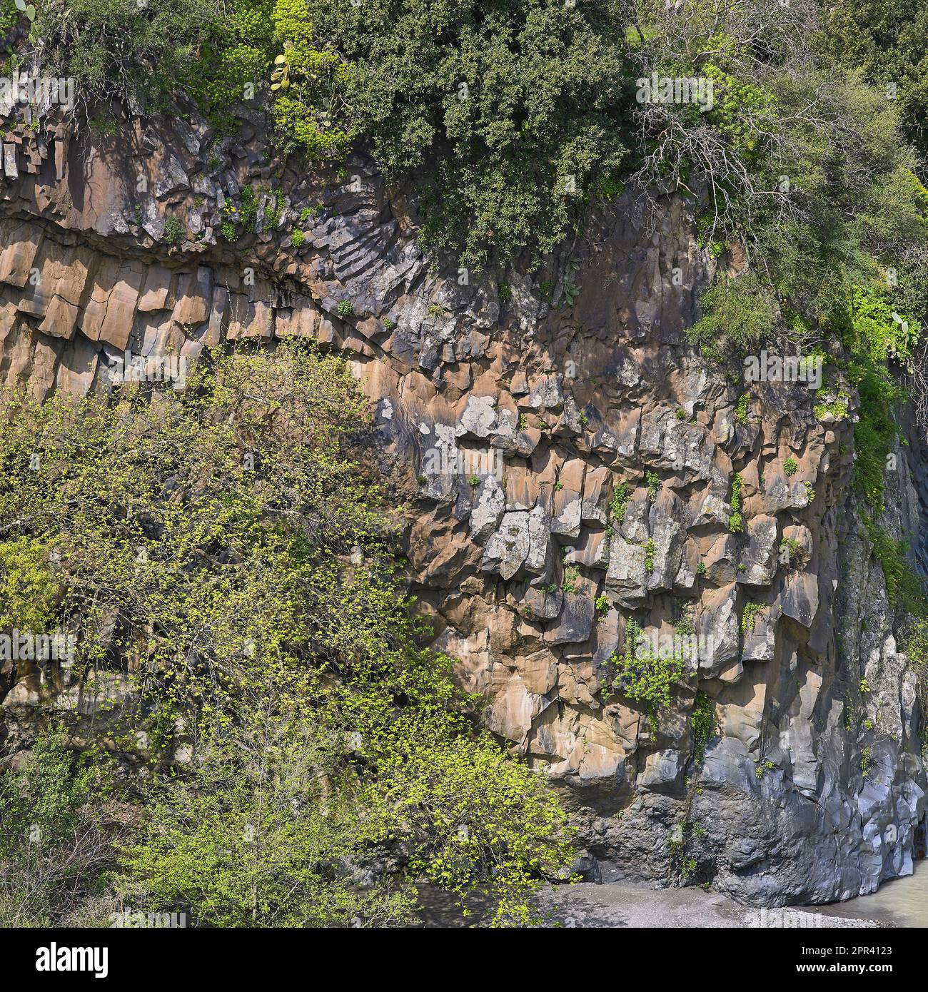 Colonnes de basalte dans la gorge d'Alcantara, Gole dell'Alcantara, Italie, Sicile, Mitogio Banque D'Images