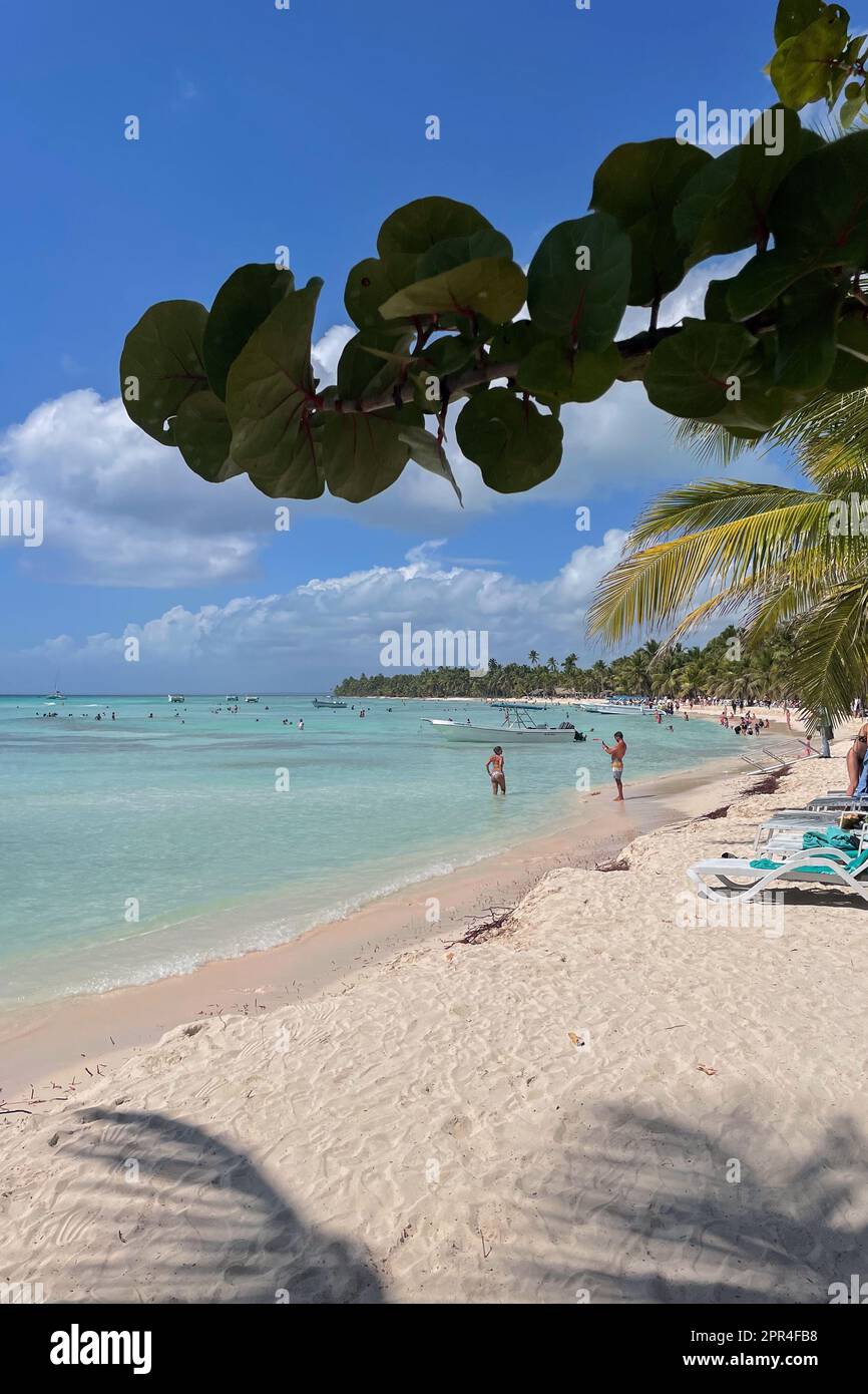 Parc national de Cotubanama, Isla Saona, République dominicaine Banque D'Images