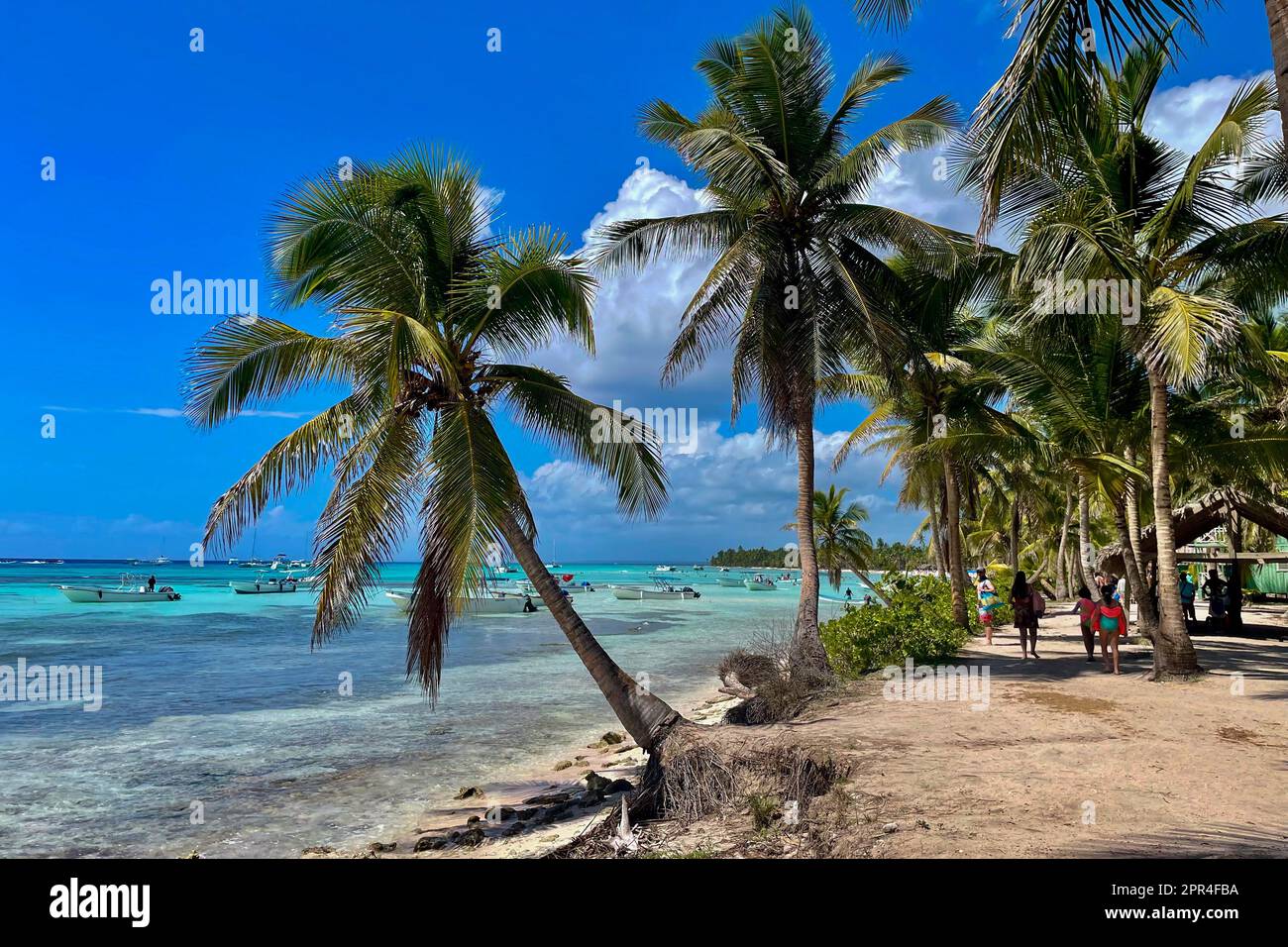 Parc national de Cotubanama, Isla Saona, République dominicaine Banque D'Images