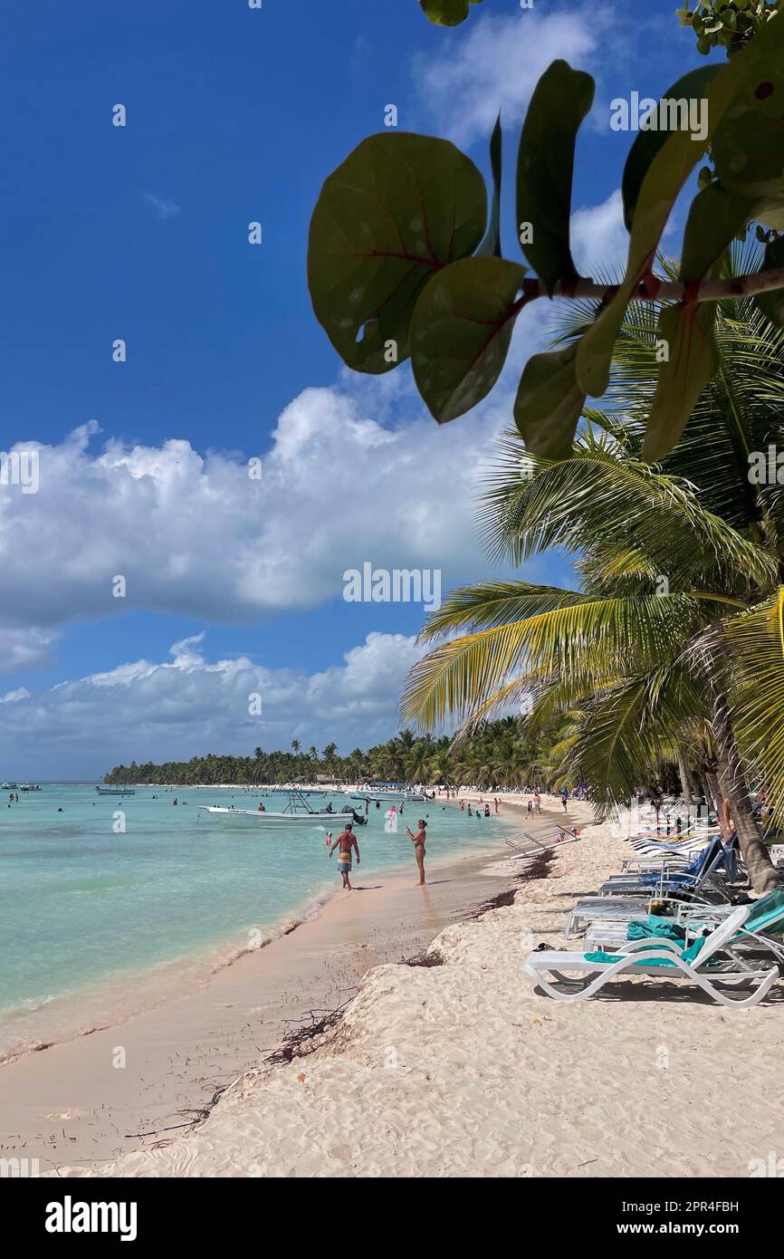 Parc national de Cotubanama, Isla Saona, République dominicaine Banque D'Images