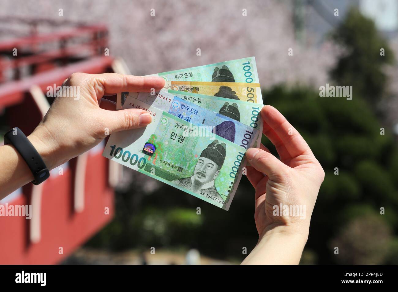 Won sud-coréen. Devise de la Corée du Sud - tenue à la main des billets utilisés. L'argent coréen. Banque D'Images