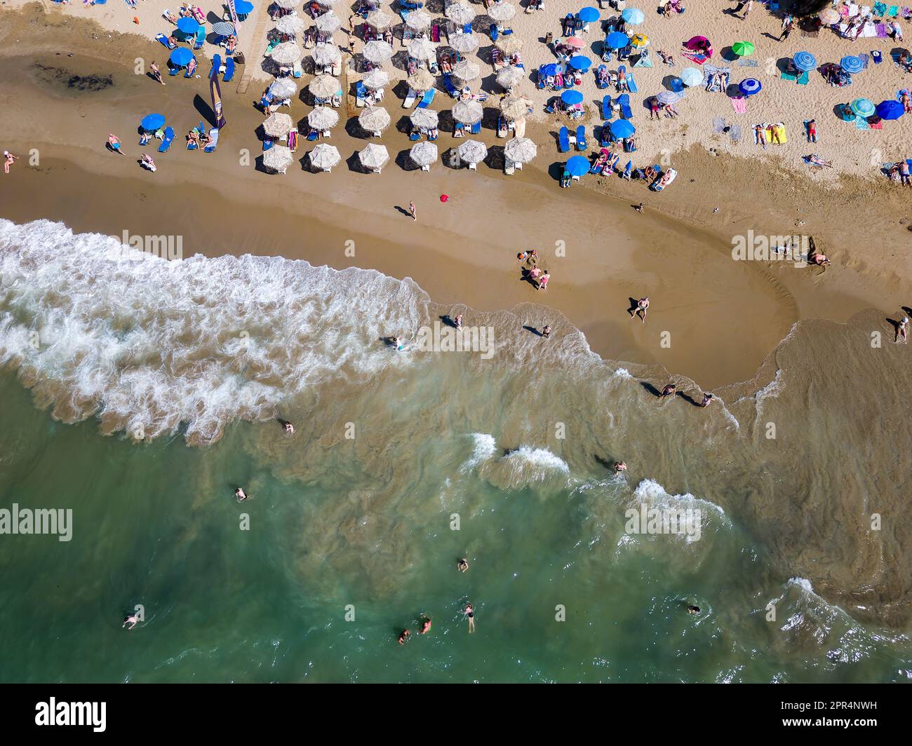 Vue aérienne de haut en bas d'une plage animée avec parasols (Nea Chora, Chania, Crète) Banque D'Images