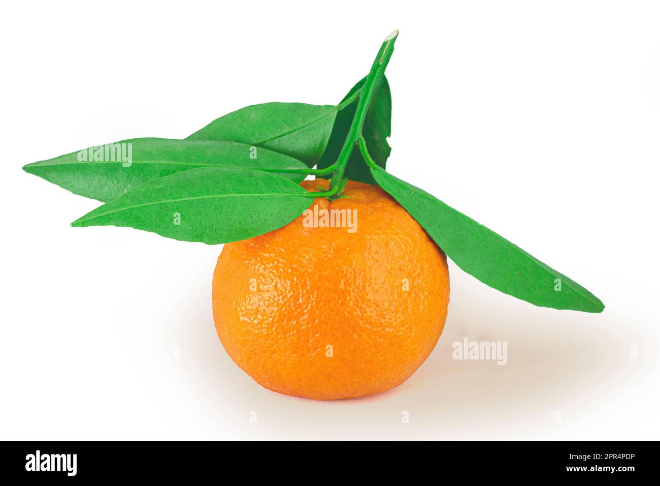 Fruit tangerine avec feuille verte isolée sur fond blanc des détails de haute qualité Banque D'Images