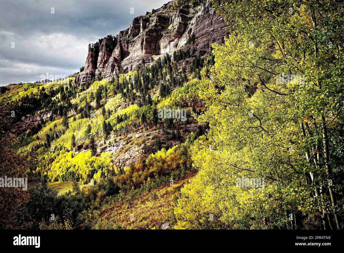 Couleur d'automne dans les montagnes de San Juan près de Telluride, Colorado. Banque D'Images