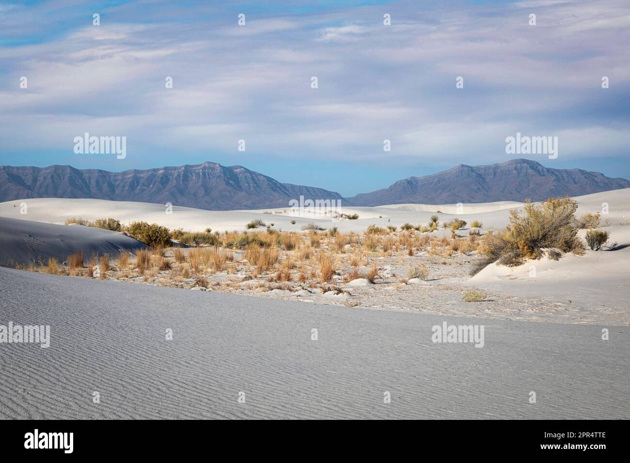 Les sables de gypse forment des dunes au parc national de White Sands, au Nouveau-Mexique. Banque D'Images