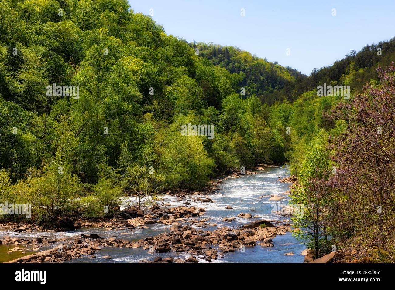 Ocoee River est l'un des meilleurs sites de rafting en eau vive du pays. Vers la fin du printemps et l'été, à travers la gorge de l'Ocoee, et fut l'hôte de l'Olympii de 1996 Banque D'Images
