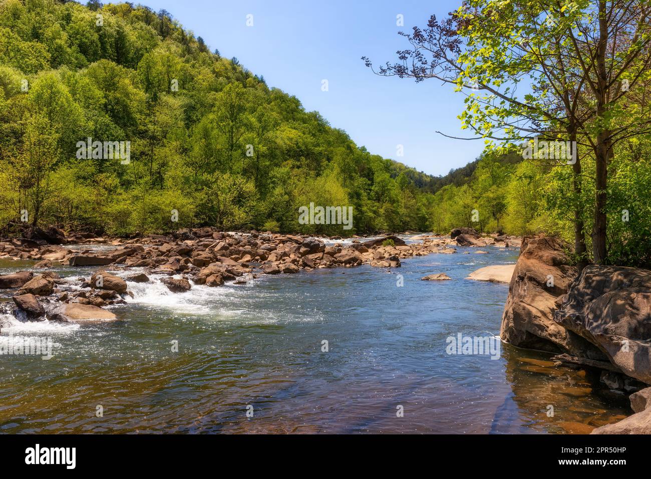 Ocoee River est l'un des meilleurs sites de rafting en eau vive du pays. Vers la fin du printemps et l'été, à travers la gorge de l'Ocoee, et fut l'hôte de l'Olympii de 1996 Banque D'Images