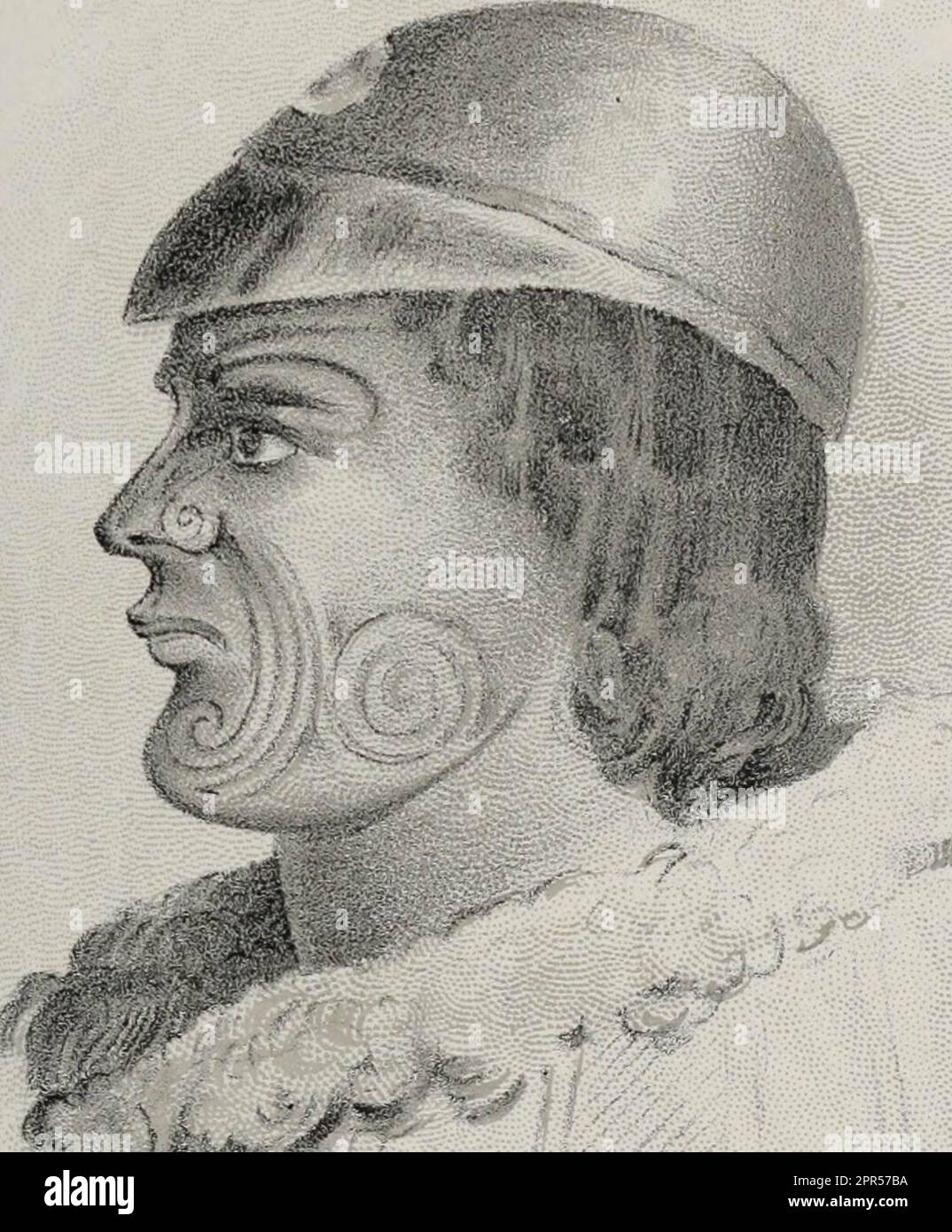 'Transactions de la Société royale de Nouvelle-Zélande' (1905) Banque D'Images