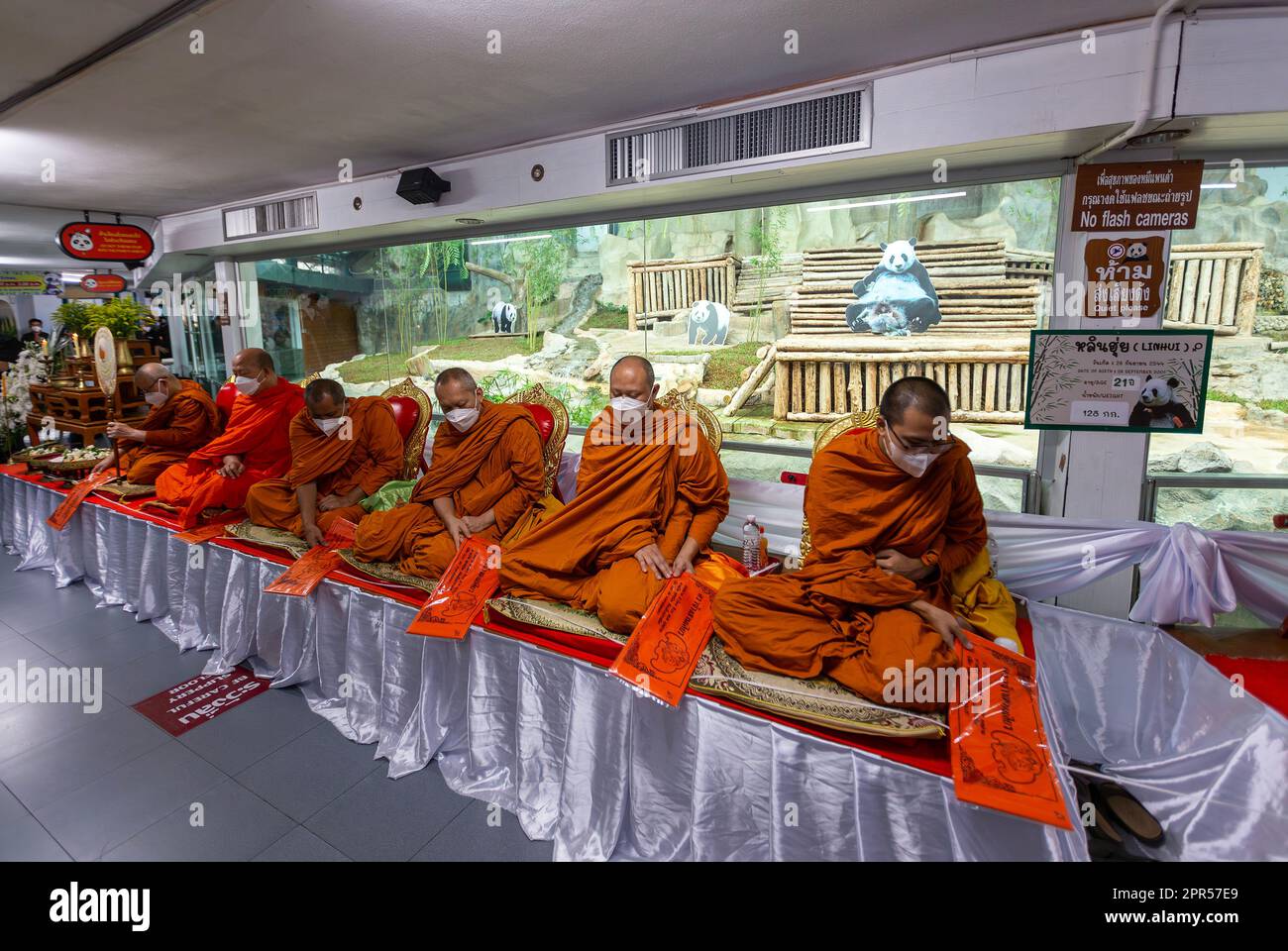 Les moines bouddhistes thaïlandais accomplissent un rituel de mérite, en l'honneur de “Lin hui” et prospèrent les participants à la cérémonie à l'occasion de l'anniversaire de la mort de 7th de Lin hui, la femme géante Panda, qui est décédée à l'âge de 21 ans et 7months ans au zoo de Chiang Mai. « Lin hui » le panda féminin qui est un ambassadeur de bonne volonté thaï-chinois que la Chine envoie en Thaïlande depuis 20 ans avec des pandas mâles « Chuang Chuang » selon des projets de coopération en recherche et la conservation des pandas. (Photo de Pongmanat Tasiri / SOPA Images/Sipa USA) Banque D'Images