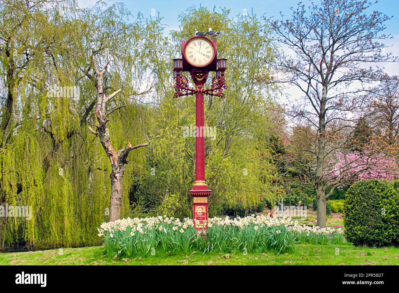 Glasgow, Écosse, Royaume-Uni 26th , avril 2023. Météo au Royaume-Uni : ville ensoleillée fleurs et fleurs de cerisier dans le parc Victoria de la ville à l'extrémité ouest L'horloge en fer victorien lampe miniature à quatre cadran de poteau horloge, donnée par William Gordon Oswald en 1888, au milieu des fleurs et des saules. Crédit Gerard Ferry/Alay Live News Banque D'Images
